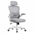Sedia Ergonomica in Rete Grigia e Plastica con Seduta Regolabile